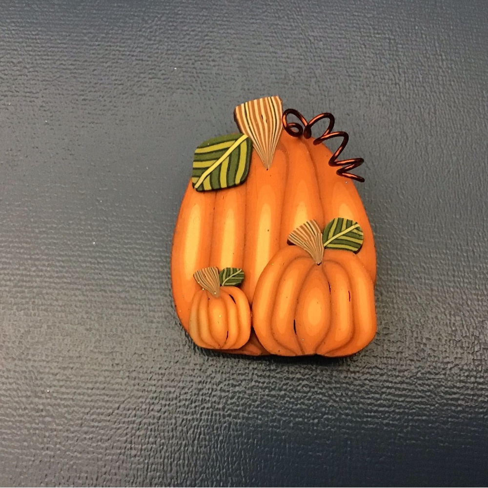 NWOT Beautiful Pumpkin Pin